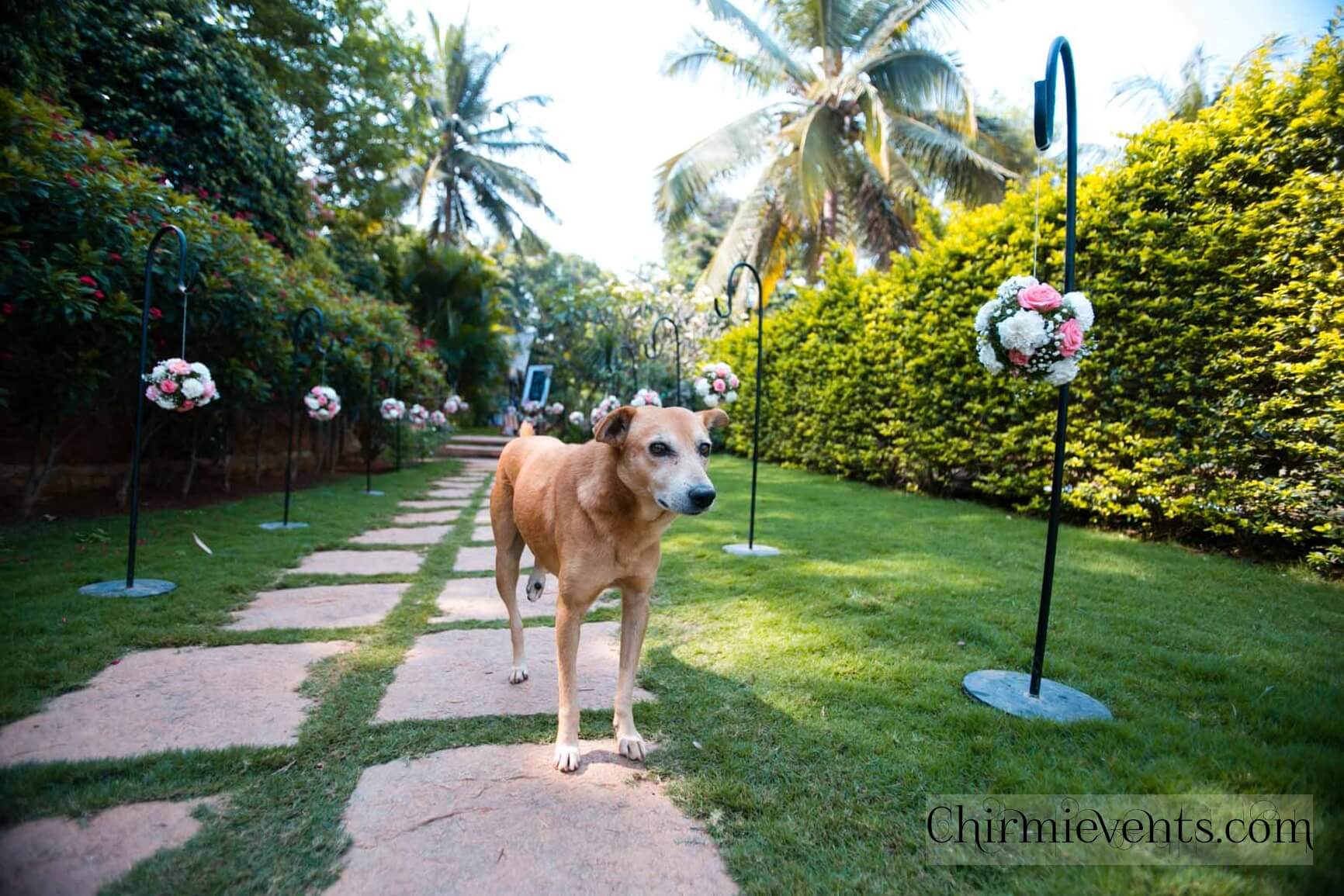 Budget wedding planners in Bangalore